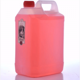 Platin 5 Litre Ecrin Kolonyası